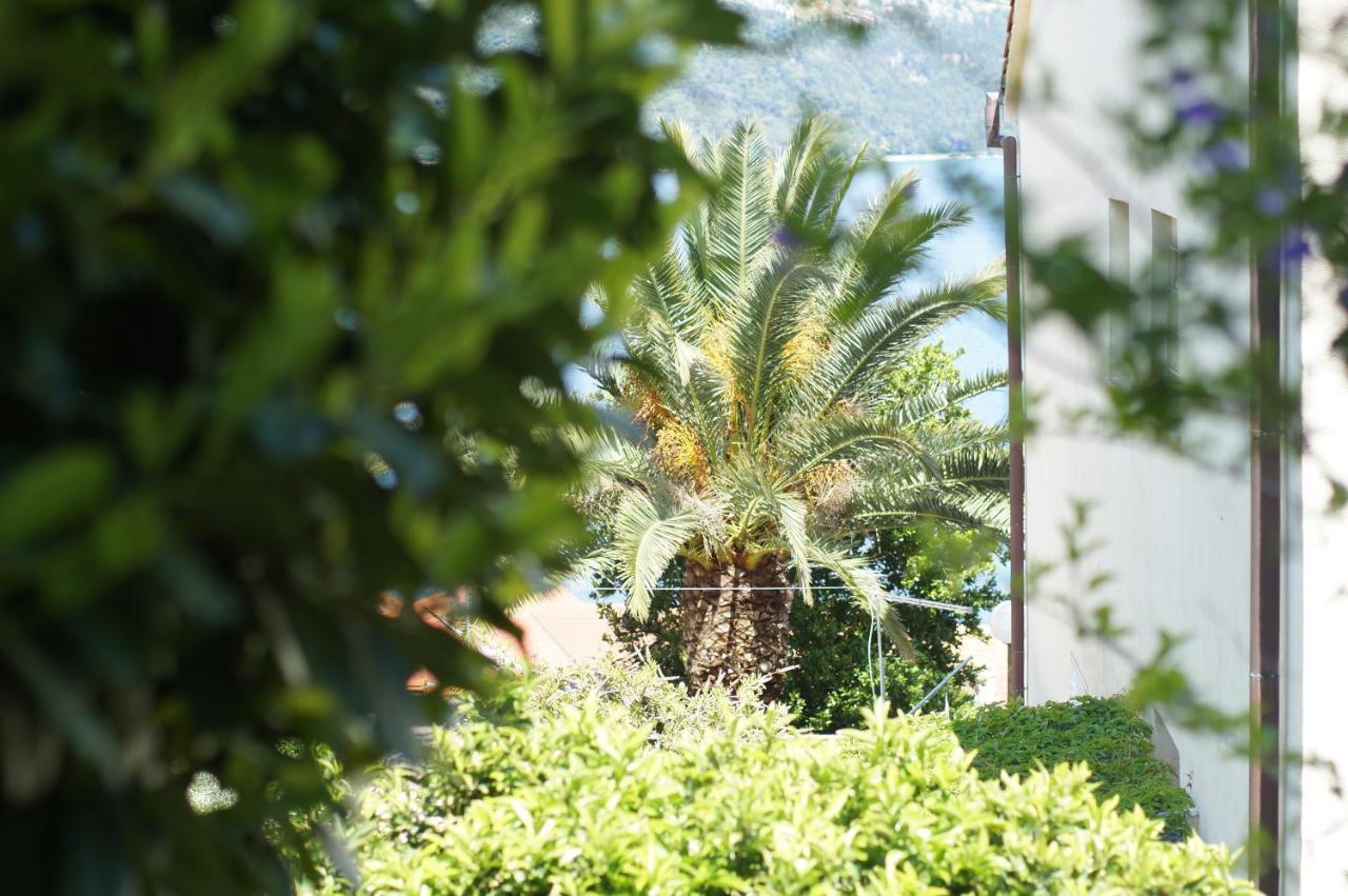 Oasis Blue Apartment Korcula Town Bagian luar foto